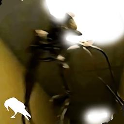 后室游戏下载汉化版-后室(backrooms)下载v1.6.2 安卓版
